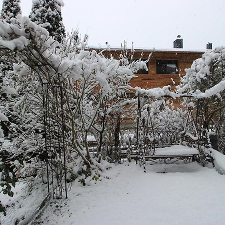 Maisalm, Apt 4 Maishofen Exterior foto